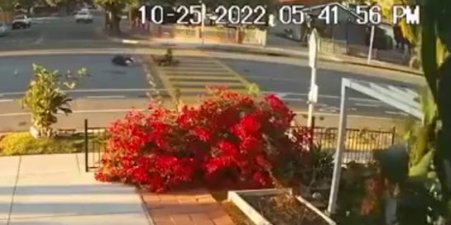 Two pedestrians, a 68-year-old grandmother and 3-year-old grandchild, were struck by a hit-and-run driver in San Jose Tuesday evening.