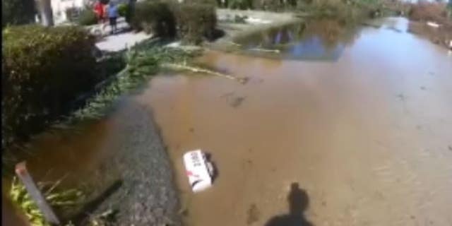 Footage released by the U.S. Coast Guard shows crews from Air Station Miami rescue a man, woman and dog from a home in Sanibel Island, Fla. after Hurricane Ian.