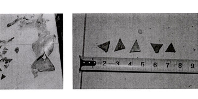 Prosecutors said McCoy hand cut pieces of metal into triangular shrapnel, which he loaded into his homemade bomb.