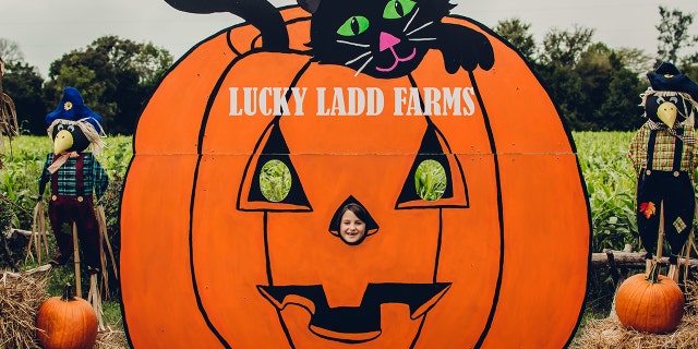 A child appears to enjoy fall festivities at Lucky Ladd Farms in Eagleville, Tennessee.
