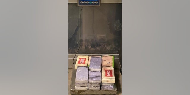 Packages containing 44 pounds of fentanyl seized by CBP officers at Pharr International Bridge.