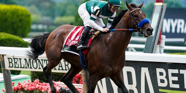 Undefeated Flightline and Rich Strike, upset winner of the Kentucky Derby, head a field of nine for the Breeders' Cup Classic.
