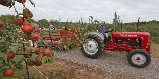 Lowell Johnson of Apple Jack Orchard in Delano, Minnesota, gave Children of Tomorrow Daycare of Waconia a tour of his apple orchard. 