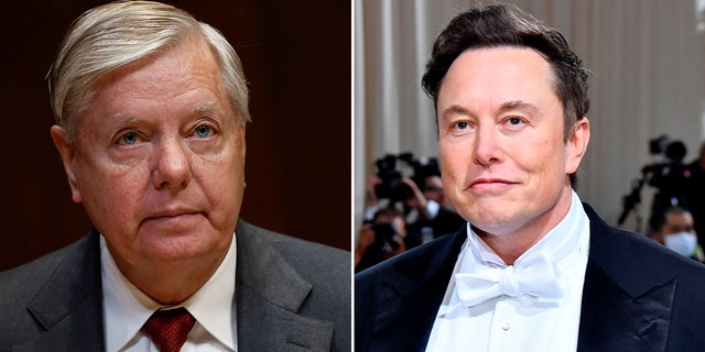 A split photo of Sen. Lindsey Graham, R-SC, in Washington D.C, on May 25, 2022 and Elon Musk in New York on May 2, 2022. 
