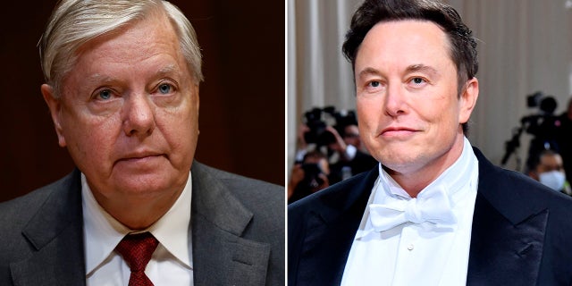 A split photo of Sen. Lindsey Graham, R-SC, in Washington D.C, on May 25, 2022 and Elon Musk in New York on May 2, 2022.