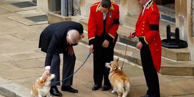 Prince Andrew visited with the royal corgis inside Windsor Castle prior to the Queen's funeral service.
