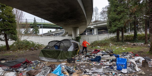 homeless camp beneath overpass strewn with garbage