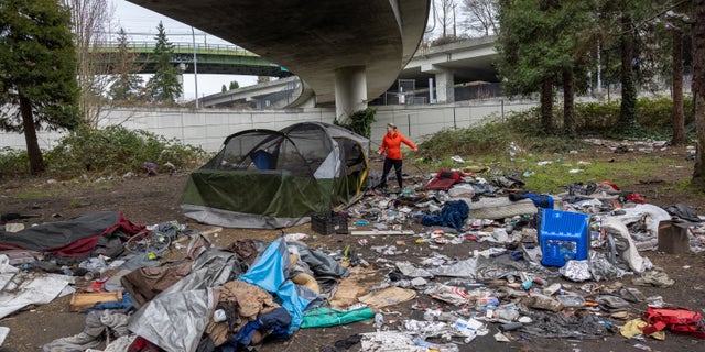 homeless camp beneath overpass strewn with garbage