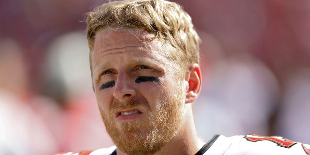 Cole Beasley, #15 of the Tampa Bay Buccaneers, looks on prior to the game against the Green Bay Packers at Raymond James Stadium on September 25, 2022, in Tampa, Florida.