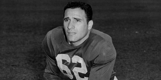 Charley Trippi #62 of the Chicago Cardinals, circa 1953 in Chicago, Illinois.  Trippi played for the Cardinals from 1947 to 1955.