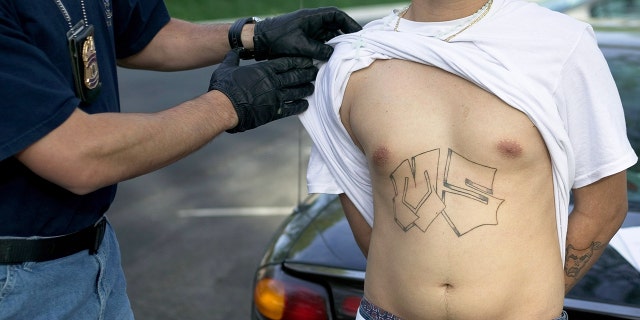 This file photo shows armed police from Maryland's Prince George's County Anti-Gang Unit question and detain a confirmed gang member of Mara Salvatrucha 13, or MS-13, in April 2006 in Langley Park, Maryland.