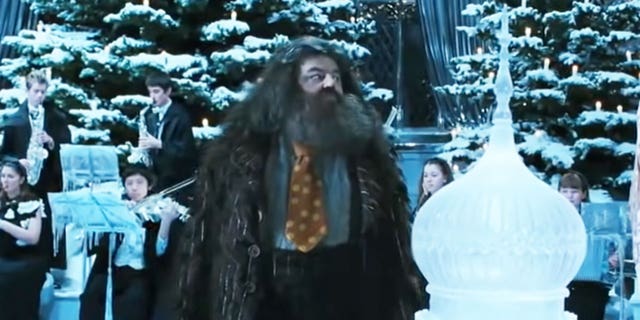 Robbie Coltrane starred as Hagrid in the "Harry Potter" franchise.