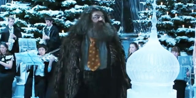 Robbie Coltrane starred as Hagrid in the "Harry Potter" franchise.