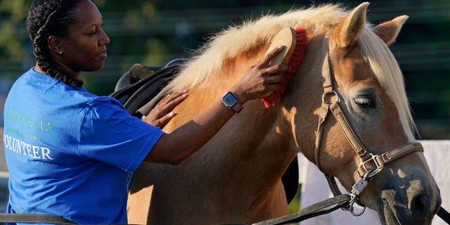 Dionne Williamson, of Patuxent River, Maryland, grooms Woody before her riding lesson at Cloverleaf Equine Center in Clifton, Virginia, Tuesday, Sept. 13, 2022. After finishing a tour in Afghanistan in 2013, Williamson felt emotionally numb. She eventually found stability through a monthlong hospitalization and a therapeutic program that incorporates horseback riding. But she had to fight for years to get the help she needed. "It's a wonder how I made it through," she said.