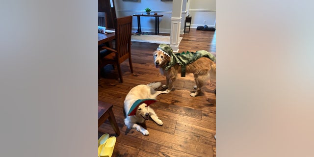 Oona (left) and Wendell (right) are all dressed up for Halloween in South Carolina.
