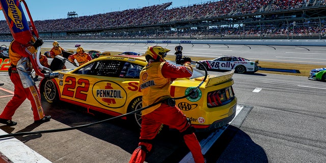 The pit crew works on Joey Logano's car during the YellaWood 500 at Talladega Superspeedway on Oct. 2, 2022, in Talladega, Alabama.