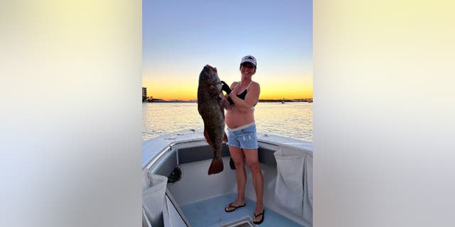 Julie Augustine's potential world record black drum was caught on Oct. 1, 2022. She was eight months pregnant at the time. "I'm just so very fortunate to live in one of the best places in the world, truly, to free dive and Spearfish," she told Fox News Digital.