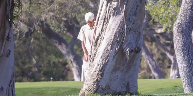 Justin Bieber appears to be urinating on a tree.