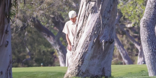 Justin Bieber appears to be urinating on a tree.