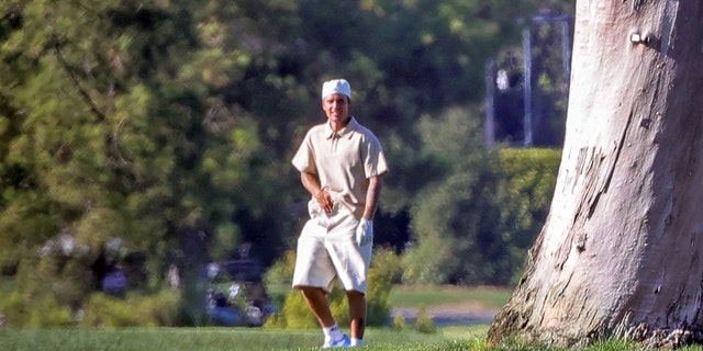 Justin Bieber appears to be coming back after urinating on a tree.