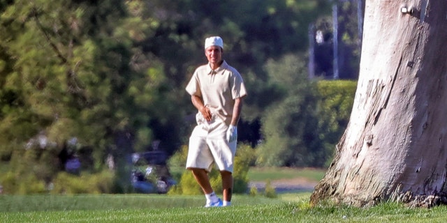 Justin Bieber appears to walk back from urinating on a tree.