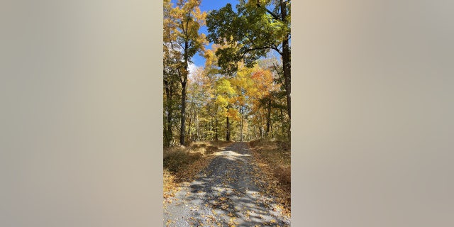 The bear attack took place on a concrete path near Renne Levow's home in Frederick County, Maryland, as she was walking her two dogs.