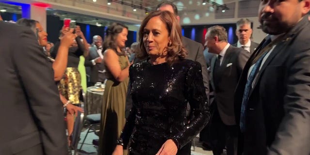 Vice President Kamala Harris dodged a question asking her if she could explain what she meant when stating that the Biden administration would take "equity" into account when disbursing natural disaster relief.