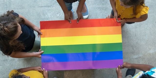 Stock image of a group of elementary students stand around a Gay Pride flag.