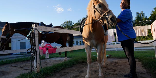 Dionne Williamson, of Patuxent River, Maryland, grooms Woody before her riding lesson at Cloverleaf Equine Center in Clifton, Virginia, Tuesday, Sept. 13, 2022. After finishing a tour in Afghanistan in 2013, Williamson felt emotionally numb. As the Pentagon seeks to confront spiraling suicide rates in the military ranks, Williamson’s experiences shine a light on the realities for service members seeking mental health help.