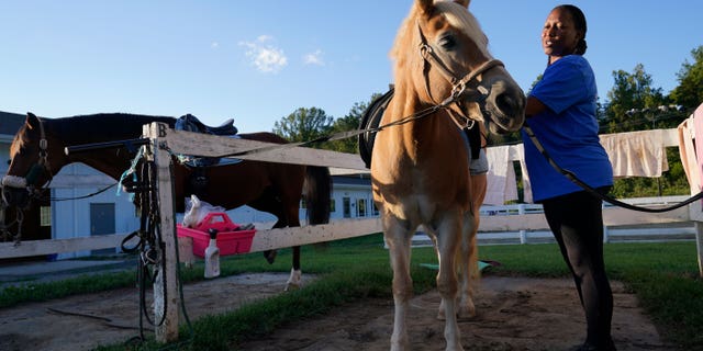 Dionne Williamson, of Patuxent River, Maryland, grooms Woody before her riding lesson at Cloverleaf Equine Center in Clifton, Virginia, Tuesday, Sept. 13, 2022. After finishing a tour in Afghanistan in 2013, Williamson felt emotionally numb. As the Pentagon seeks to confront spiraling suicide rates in the military ranks, Williamson’s experiences shine a light on the realities for service members seeking mental health help.