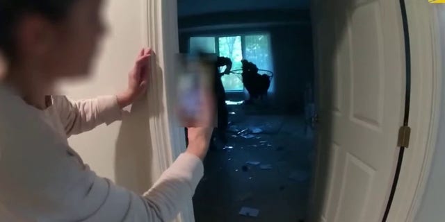 Fowl play: wild turkey causes chaos after breaking into Ohio home | Fox ...