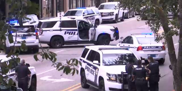 Local law enforcement blocking Government St. in Mobile, Alabama while in a standoff with a gunman. (Photo Credit: WALA)