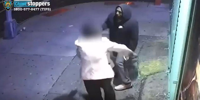 Suspect in NYC grabs purse from elderly woman before running away.