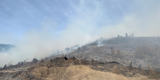 The Nakia Creek Fire began on October 9 in the Larch Block of the Yacolt Burn State Forest.