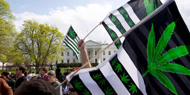 Los manifestantes ondean banderas con hojas de marihuana durante una protesta para pedir la legalización de la marihuana frente a la Casa Blanca el 2 de abril de 2016.