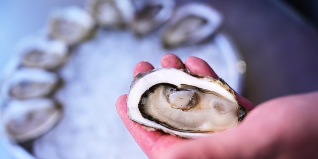 File photo of oysters