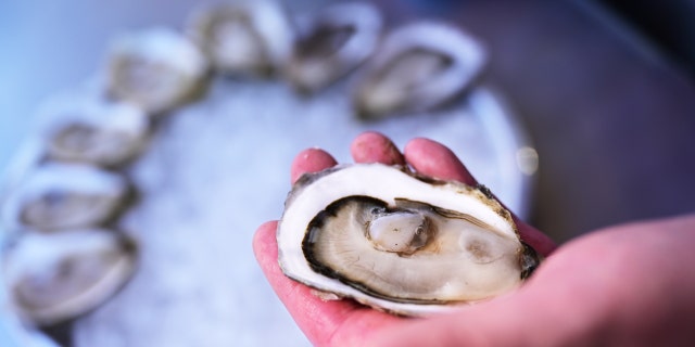 Ben Woolven, también conocido como Oyster Wolf, limpia ostras afuera del bar Forget Me Not en Cherry Creek en Denver, Colorado, el viernes 11 de marzo de 2022. 