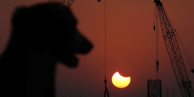 A stray dog stands as partial solar eclipse is seen at a construction site in Mumbai, India, Oct. 25, 2022.