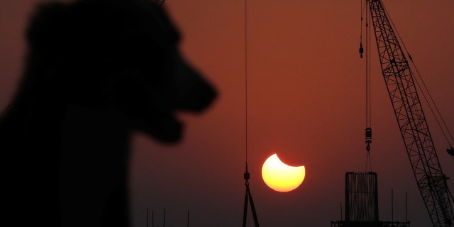 A stray dog stands as partial solar eclipse is seen at a construction site in Mumbai, India, Oct. 25, 2022.