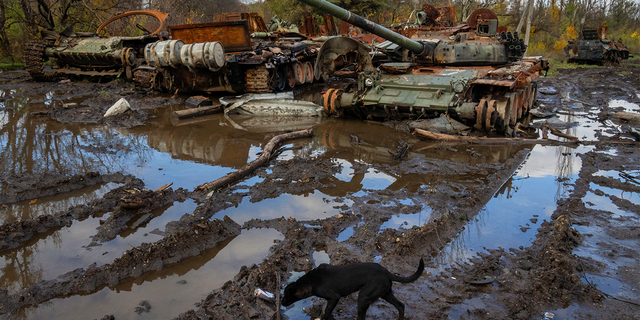 Russian tanks damaged in recent fighting were seen near the recently recaptured village of Kamianka in the Kharkiv region of Ukraine on Sunday, October 30, 2022.