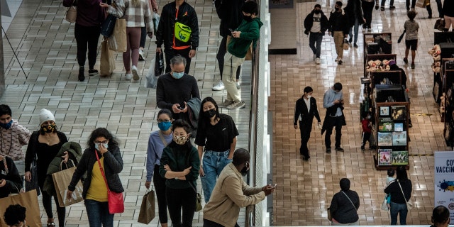 Shoppers on multiple levels at Tysons Corner Mall Black Friday in Tysons Corner, Va. 