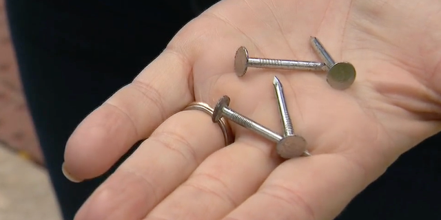 Nails that have been found throughout Dallas neighborhoods in recent weeks. 