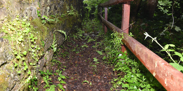 The overgrown path where Deborah's body was found in Salcombe, England. 