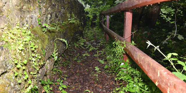 The overgrown path where Deborah's body was found in Salcombe, England. 