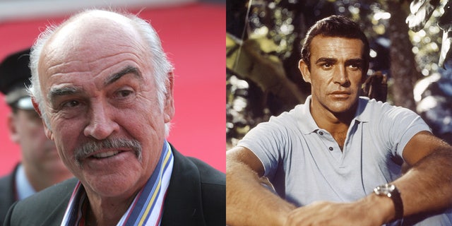 Sean Connery originated the role of James Bond in the first installment of the franchise, "Dr. No."