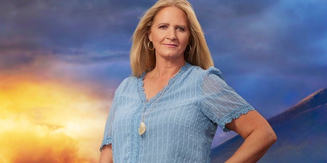 'Sister Wives' star Kody Brown says his approach to polygamy 'seems so
