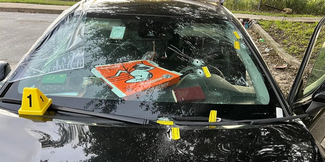 Bullet holes seen in a rental car at a park in Tampa, Florida. 