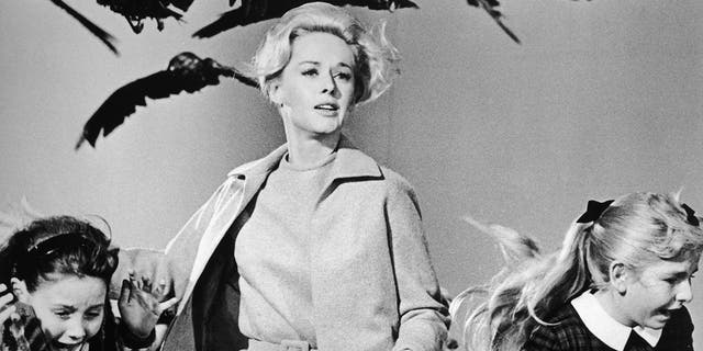 American actor Tippi Hedren and a group of children run away from the attacking crows in a still from the film 'The Birds' directed by Alfred Hitchcock.