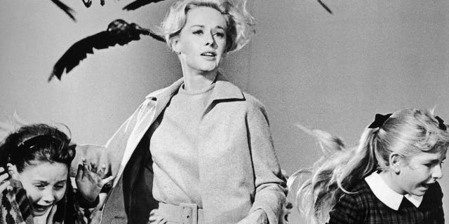 American actor Tippi Hedren and a group of children run away from the attacking crows in a still from the film 'The Birds' directed by Alfred Hitchcock.