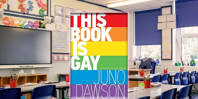Fox News Digital previously reported that 'This Book is Gay,' which contains information on BDSM/kink, was found in DoDEA schools.